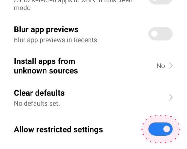 Allow restricted settings is enabled